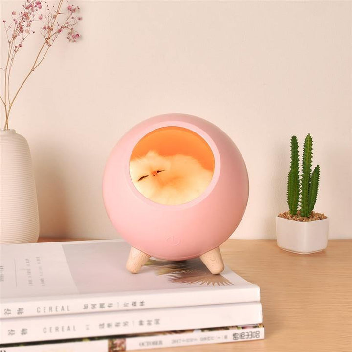 Cute Pet House USB LED Night Lamp | Kalsten