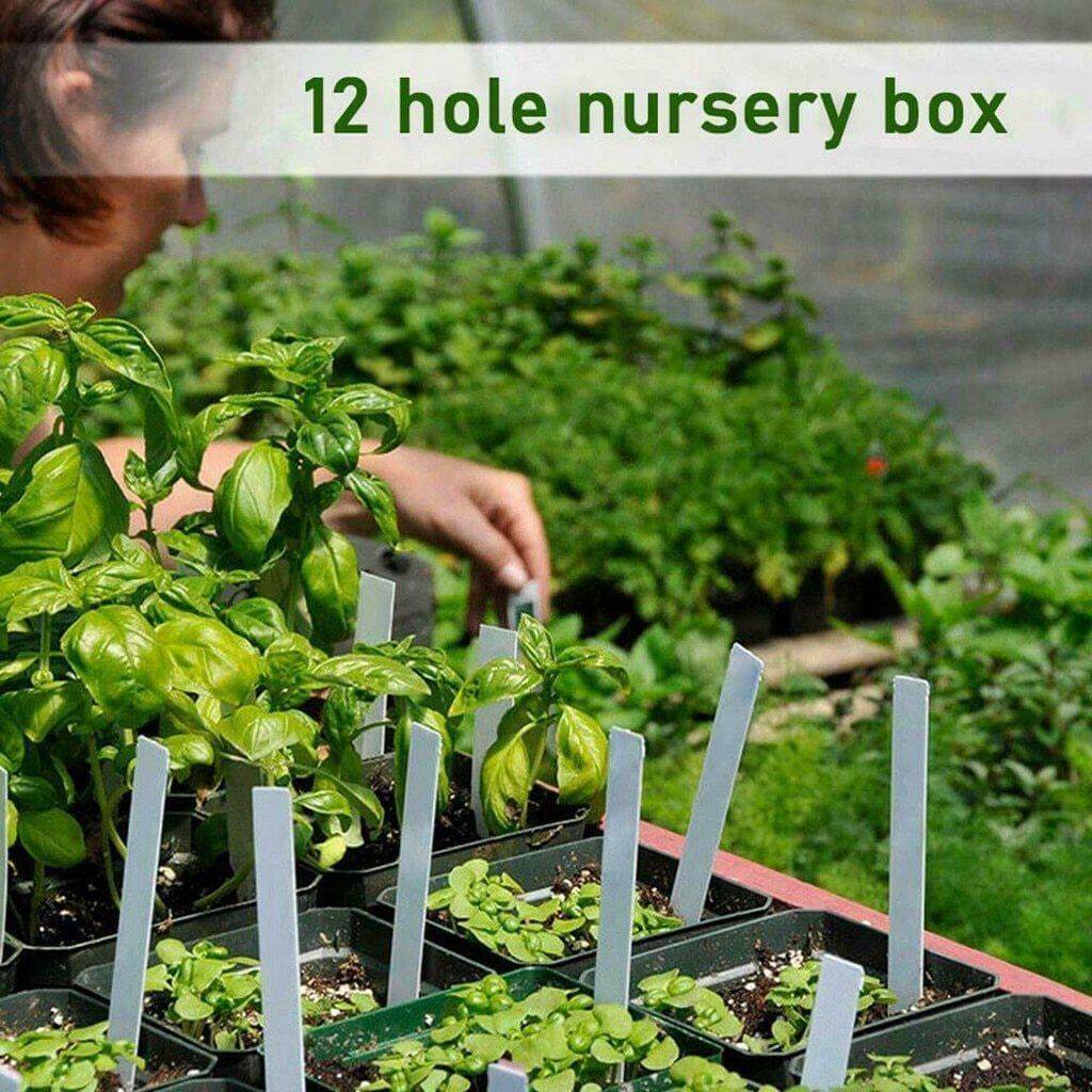 Adjustable 12 Seedling Planting Box | Kalsten