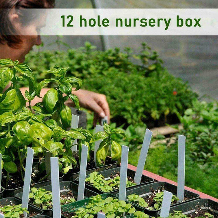 Adjustable 12 Seedling Planting Box | Kalsten