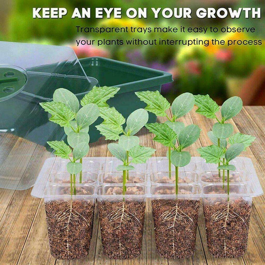 Adjustable 12 Seedling Planting Box | Kalsten