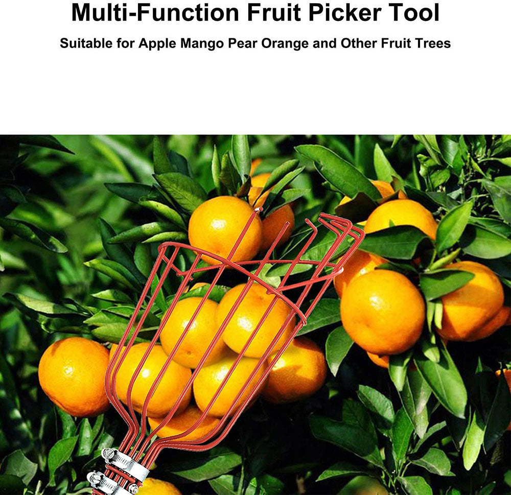 High Branch Fruit Picker | Kalsten