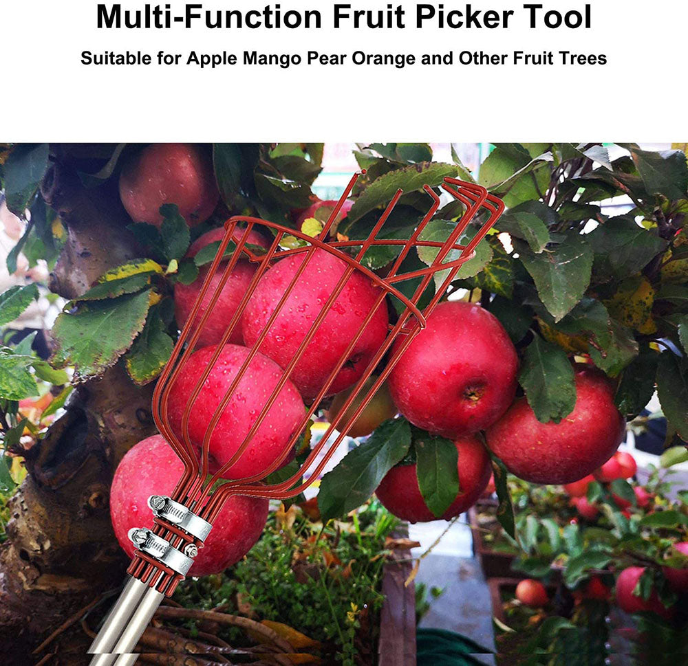 High Branch Fruit Picker | Kalsten