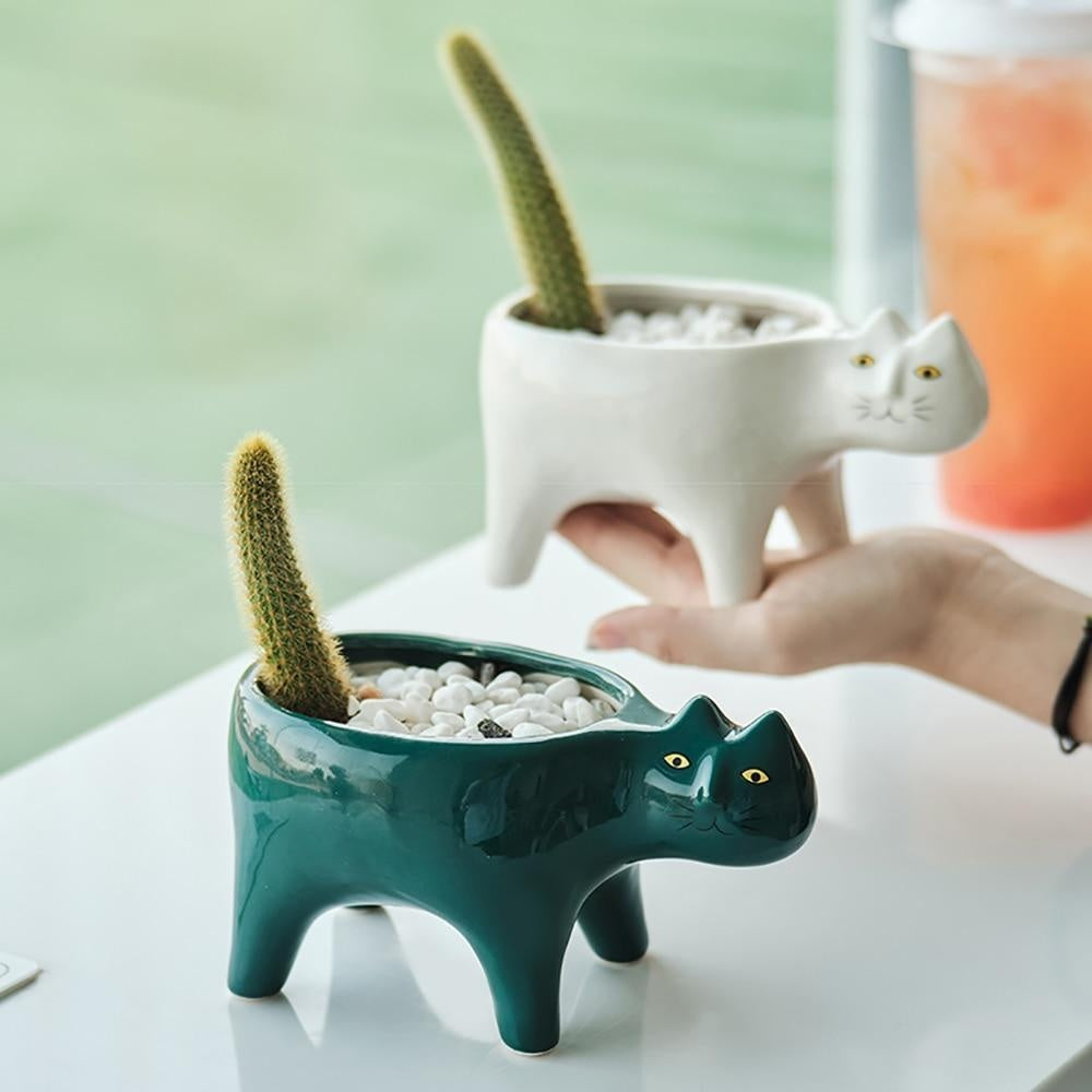 Kat Pot | Kalsten