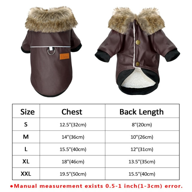 Kalsten | Cool Cute Leather Pet Jacket