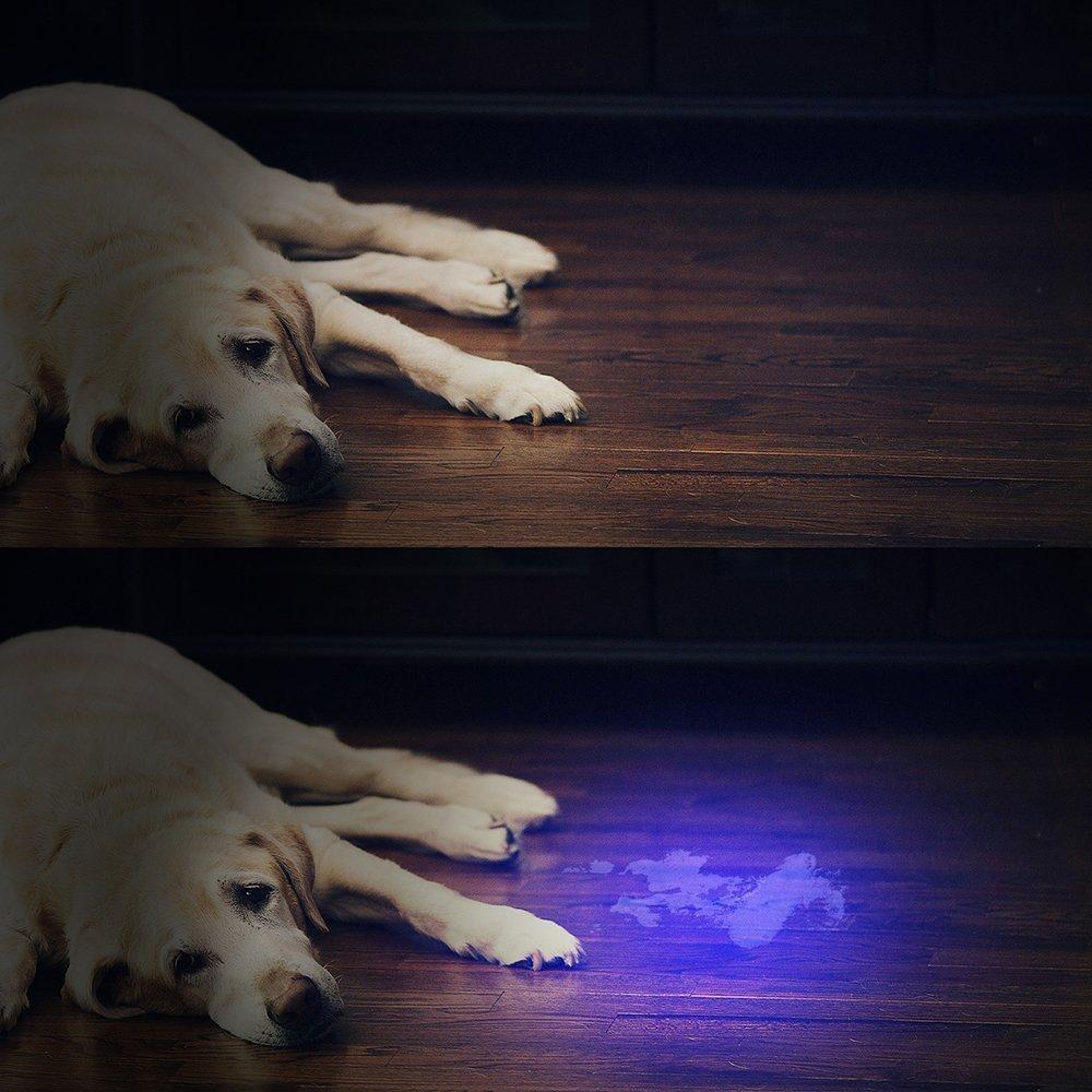 HiLight - LED UV Detection Flash Light | Kalsten