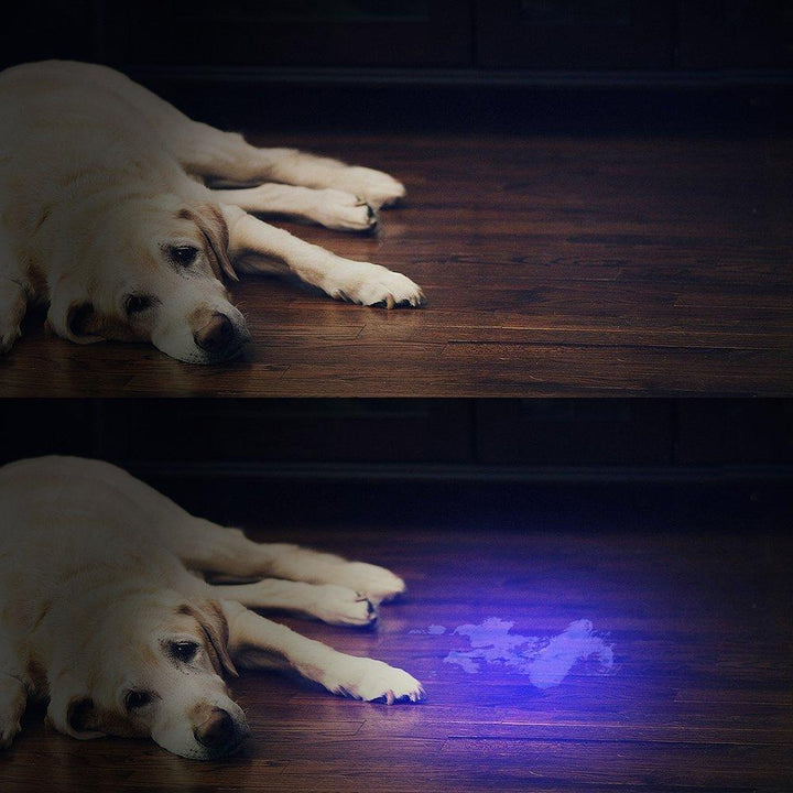 HiLight - LED UV Detection Flash Light | Kalsten