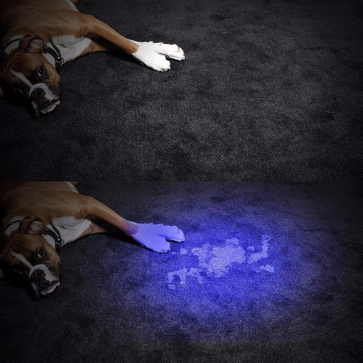 HiLight - LED UV Detection Flash Light | Kalsten