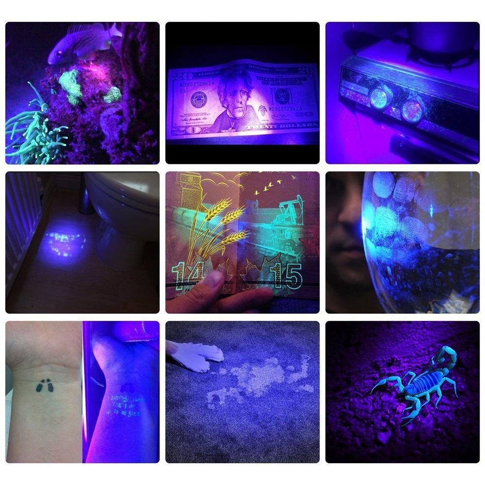 HiLight - LED UV Detection Flash Light | Kalsten