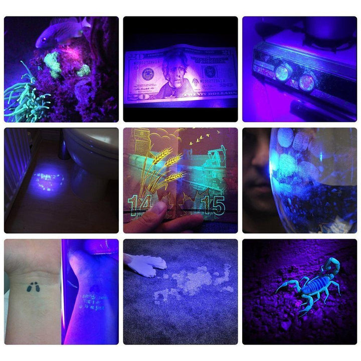 HiLight - LED UV Detection Flash Light | Kalsten