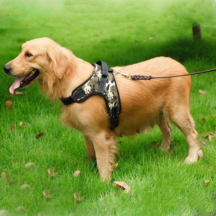 Adjustable Pet Dog Harness | Kalsten