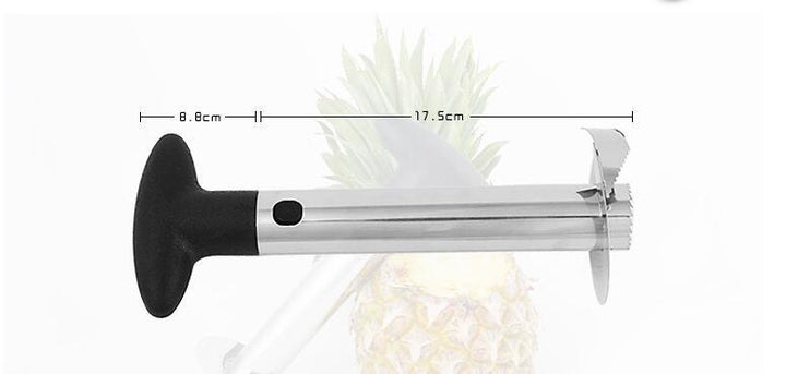 Stainless Steel Pineapple Slicer Corer | Kalsten