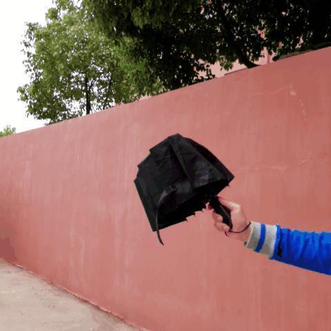 Kalsten | Luxury Automatic Open & close Umbrella Folding Wind water Resistant