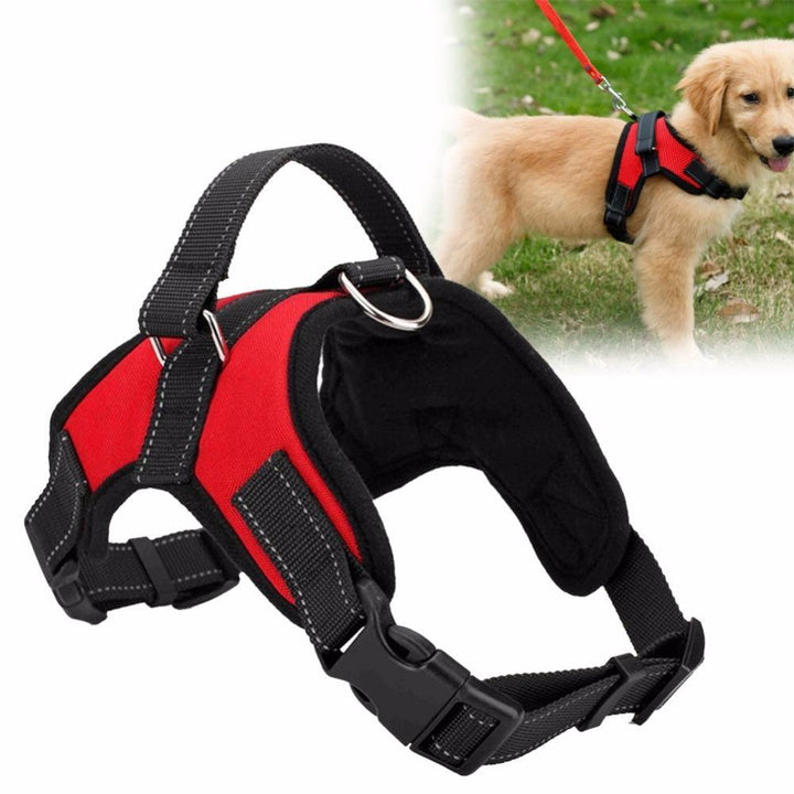 Adjustable Pet Dog Harness | Kalsten