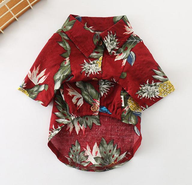 Frenchie  Summer Shirt | Kalsten