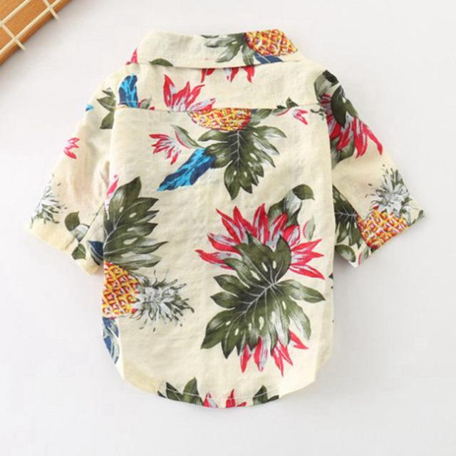 Frenchie  Summer Shirt | Kalsten