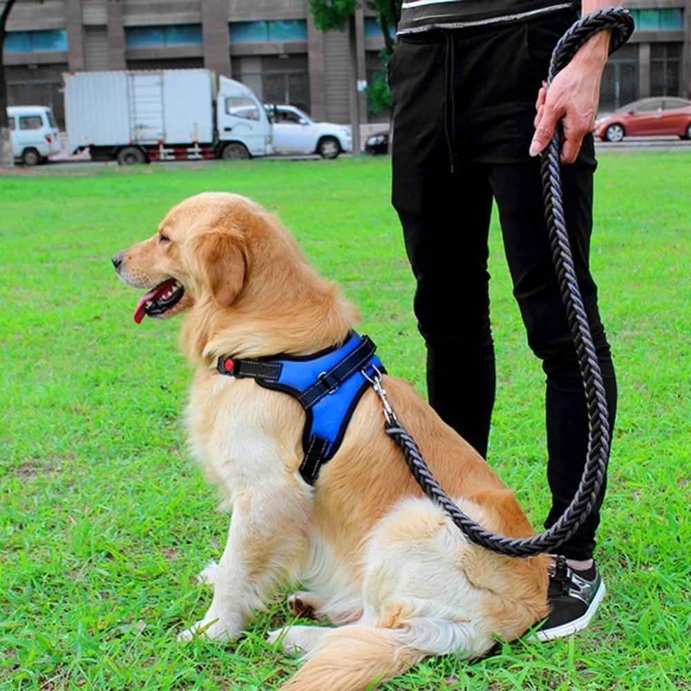 Adjustable Pet Dog Harness | Kalsten