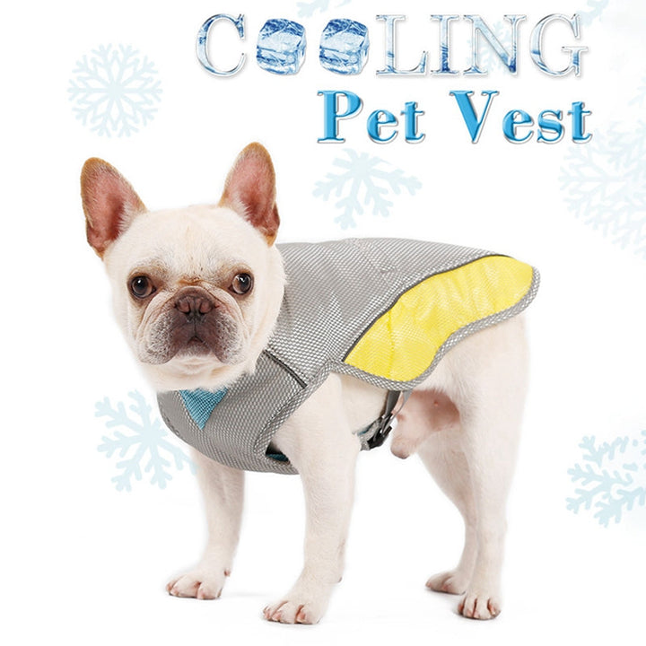 Coolify™ : Cooling Vest for Frenchie (CS13) | Kalsten