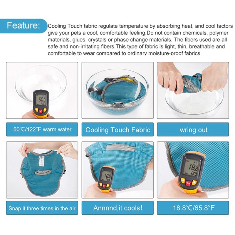 Coolify™ : Cooling Vest for Frenchie (CS13) | Kalsten