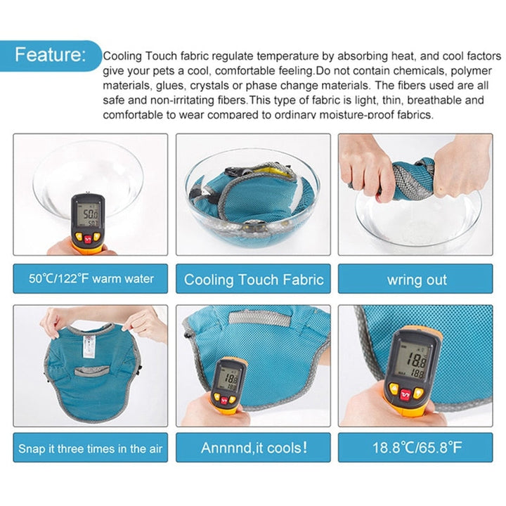 Coolify™ : Cooling Vest for Frenchie (CS13) | Kalsten