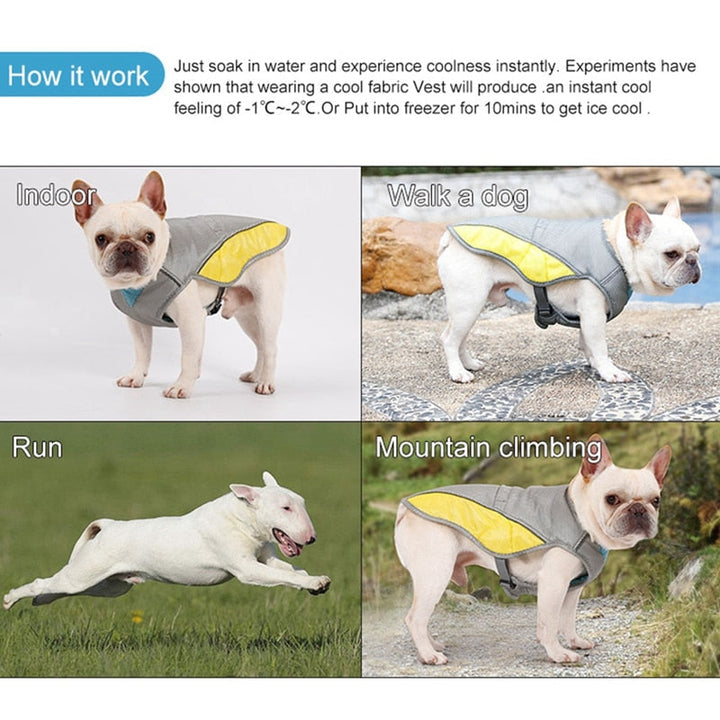 Coolify™ : Cooling Vest for Frenchie (CS13) | Kalsten
