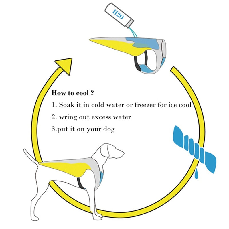 Coolify™ : Cooling Vest for Frenchie (CS13) | Kalsten