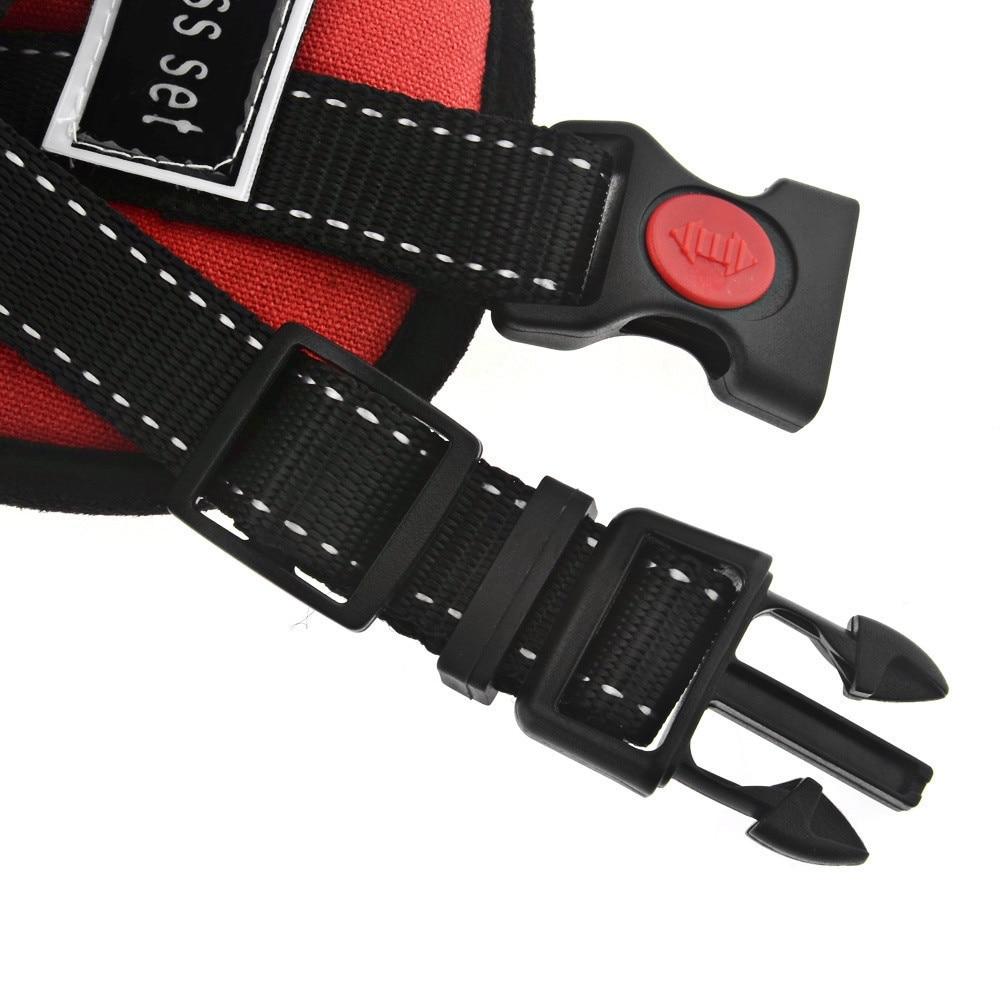 Dog Walking Harness | Kalsten