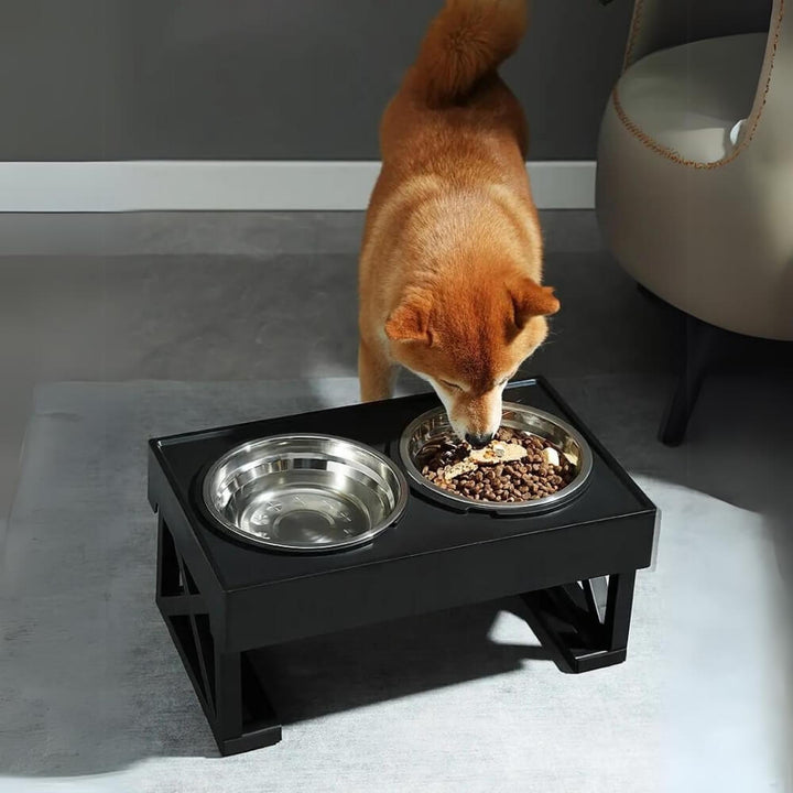 PupLift Raised Dog Bowl – Ergonomic & Slow Feeding for Healthy Meals | Kalsten