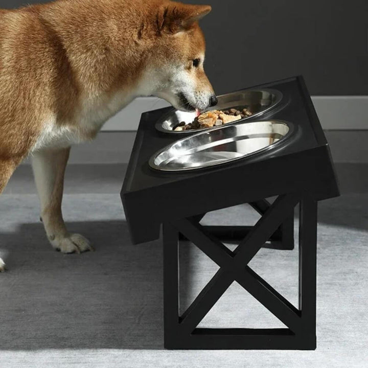 PupLift Raised Dog Bowl – Ergonomic & Slow Feeding for Healthy Meals | Kalsten