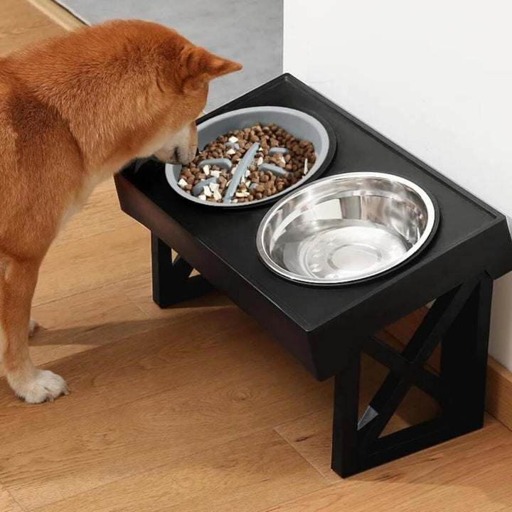PupLift Elevated Dog Bowl – Ergonomic & Slow Feeding for Healthy Meals | Kalsten