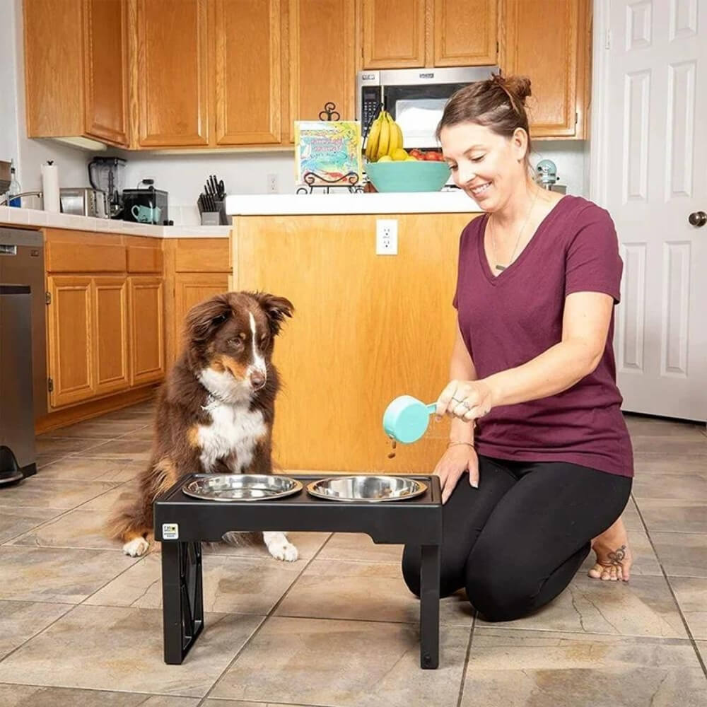 PupLift Raised Dog Bowl – Ergonomic & Slow Feeding for Healthy Meals | Kalsten