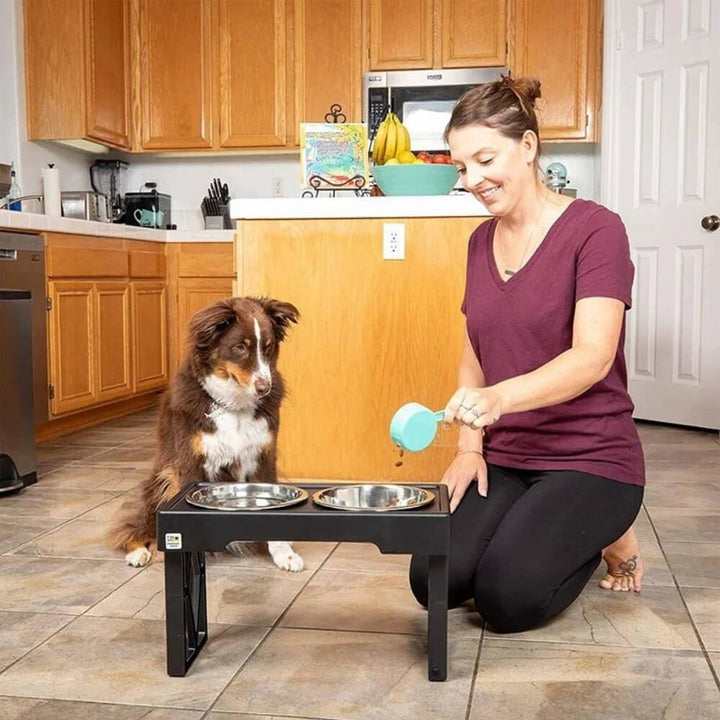 PupLift Elevated Dog Bowl – Ergonomic & Slow Feeding for Healthy Meals | Kalsten