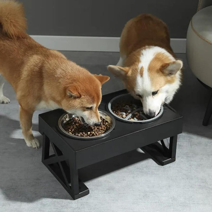 PupLift Elevated Dog Bowl – Ergonomic & Slow Feeding for Healthy Meals | Kalsten