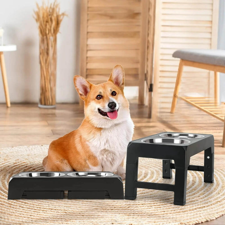 PupLift Raised Dog Bowl – Ergonomic & Slow Feeding for Healthy Meals | Kalsten