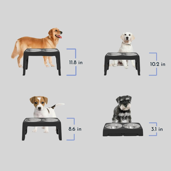 PupLift Raised Dog Bowl – Ergonomic & Slow Feeding for Healthy Meals | Kalsten