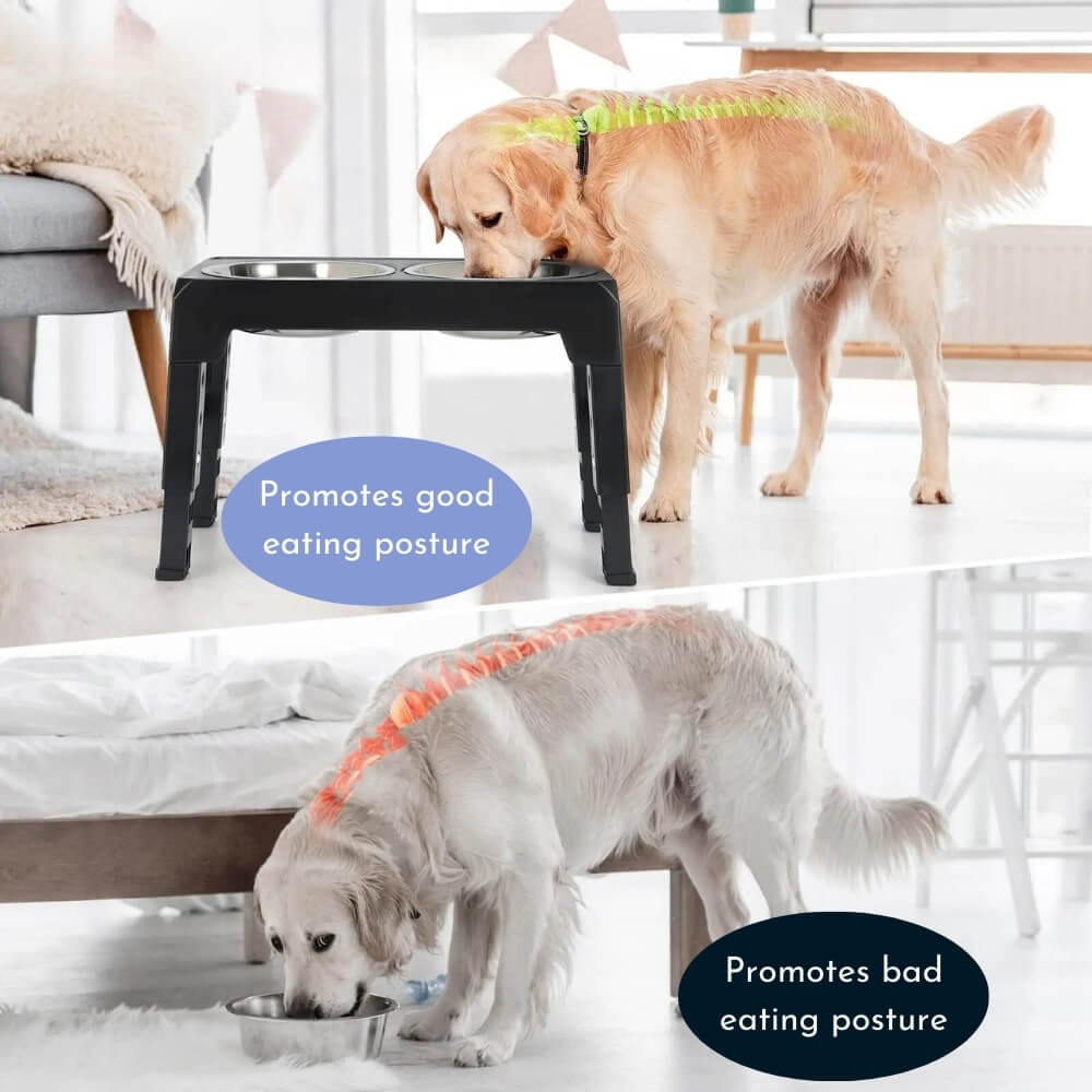 PupLift Raised Dog Bowl – Ergonomic & Slow Feeding for Healthy Meals | Kalsten