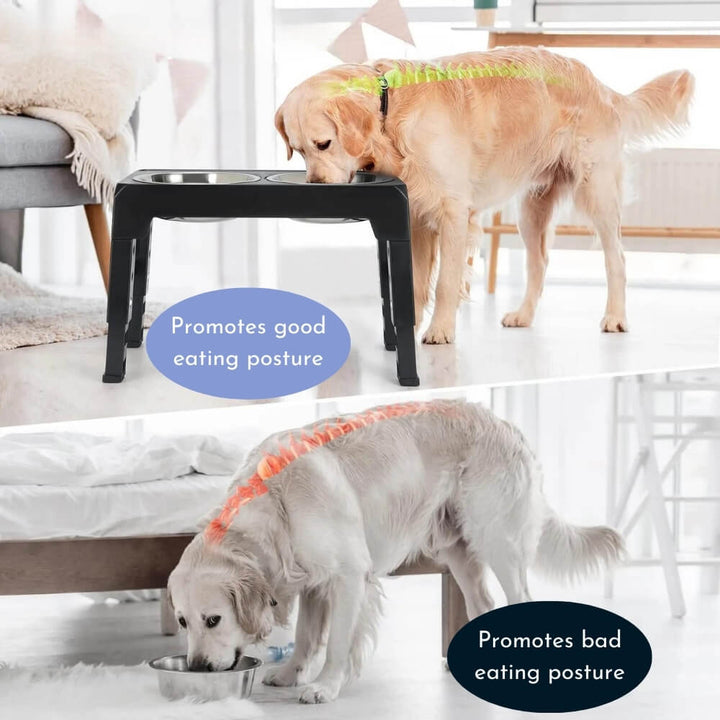 PupLift Raised Dog Bowl – Ergonomic & Slow Feeding for Healthy Meals | Kalsten
