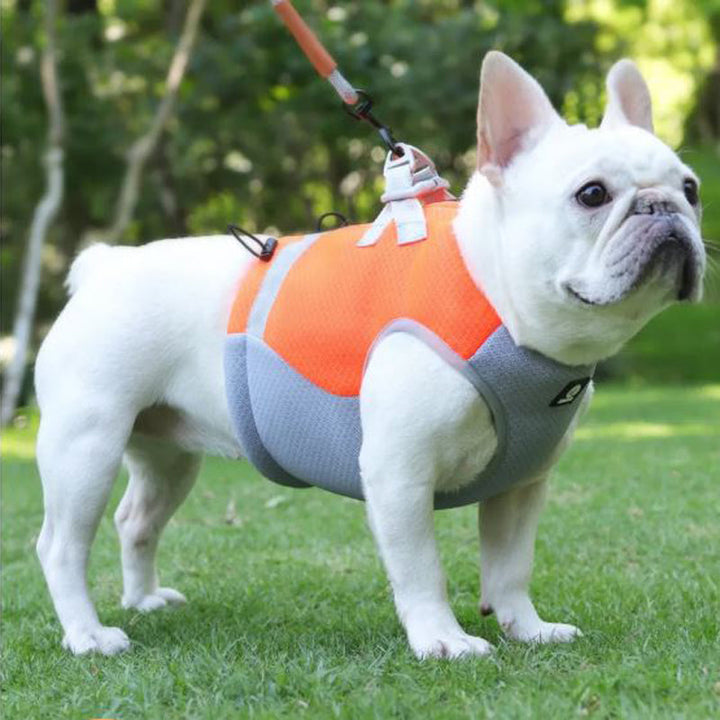 Frenchie Summer Reflective Cooling Vest | Kalsten