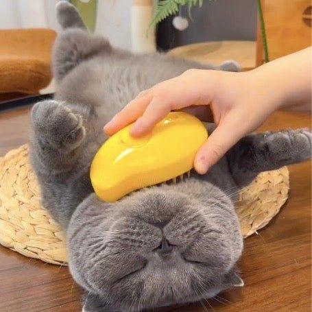 Steam brush reduce hair loss within 1 day | Kalsten