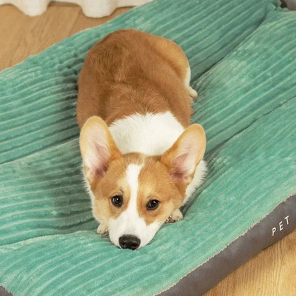 Skanto | DreamRest Orthopedic Dog Bed – Fluffy, Supportive & Washable Comfort