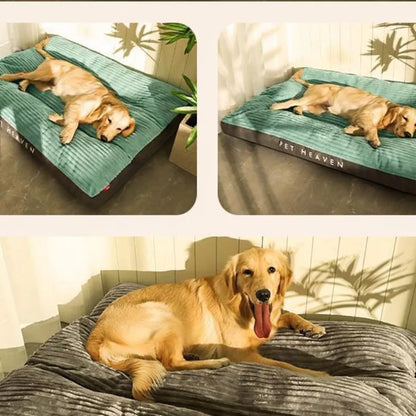 Skanto | DreamRest Orthopedic Dog Bed – Fluffy, Supportive & Washable Comfort