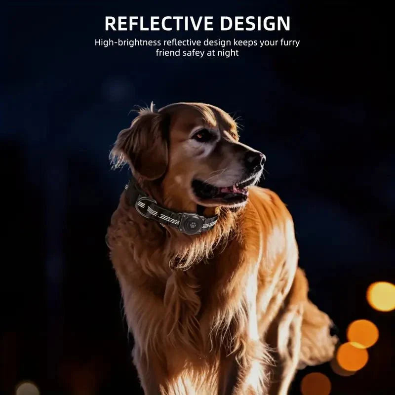 SecureTrack • AirTag Dog Collar - AirTag Dog Collar - BowLift