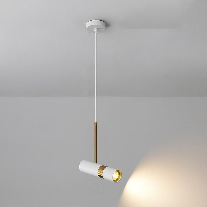 Spot Light Pendant Light Fixtures Nordic Metal LED Ceiling Light | Kalsten