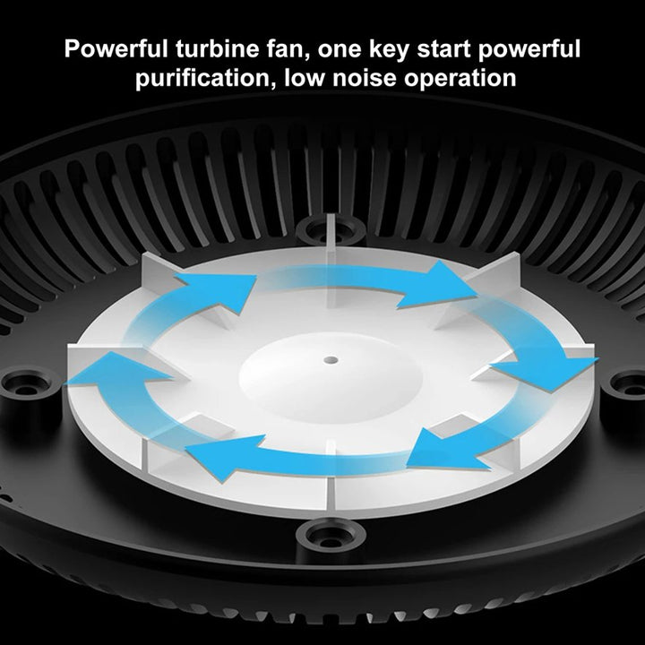 Smoke-Removing Air Diffuser Purifier Kalsten