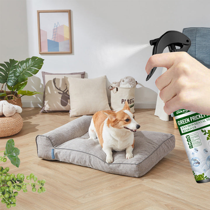 Powerful Stain Removal Spray