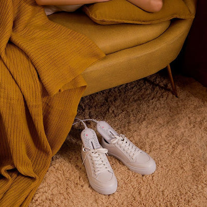 Antibacterial shoe dryer for odor removal