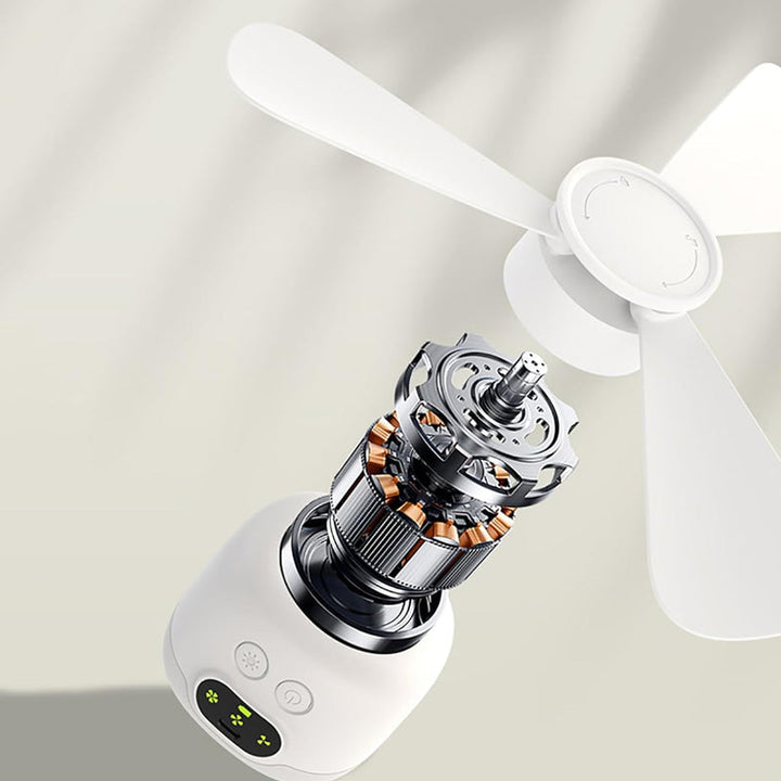 Rechargeable Ceiling Fan with LED Lights | Kalsten