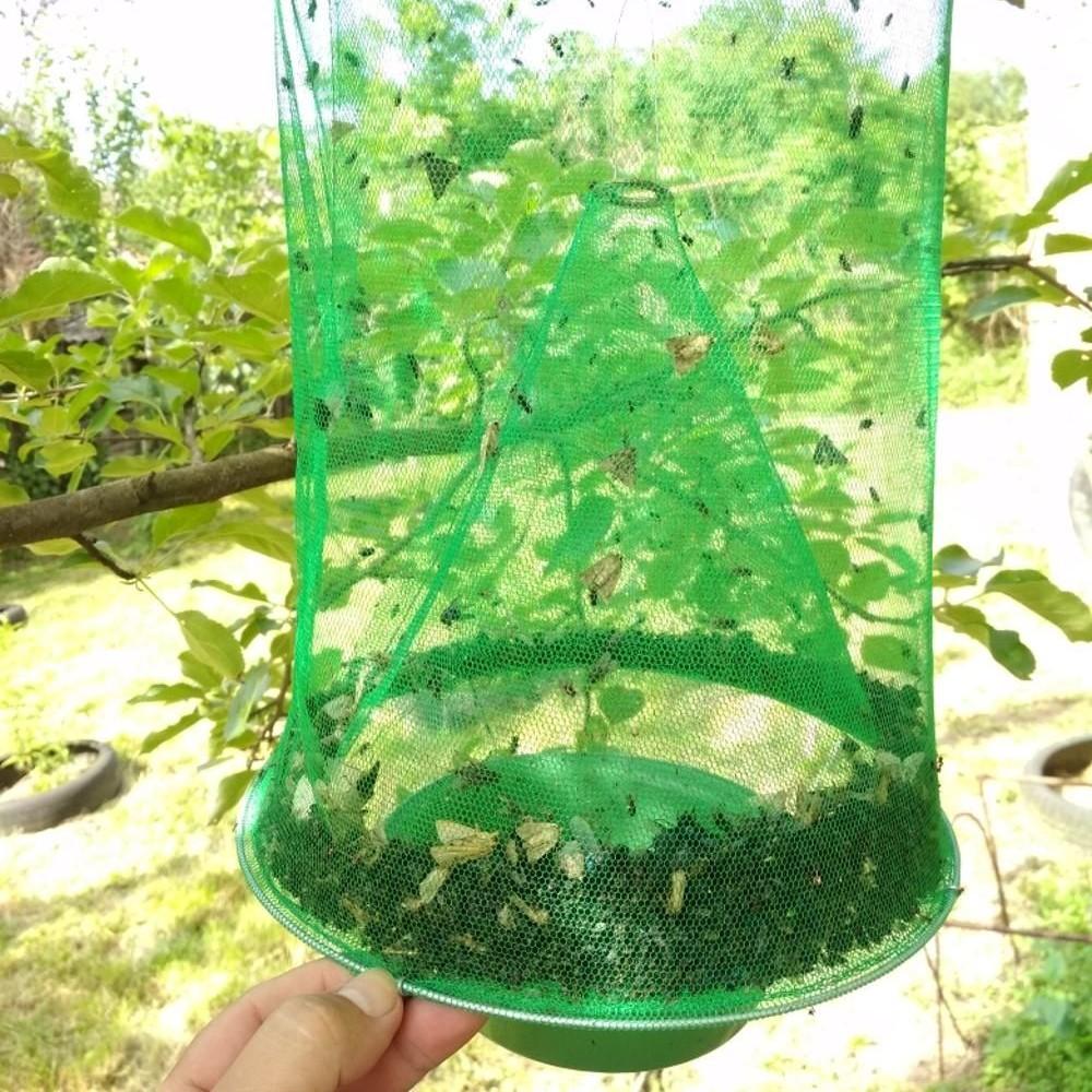 Fly trap – catch up to 40,000 flies | Kalsten
