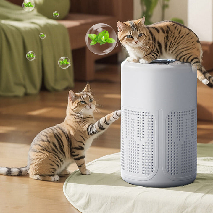 Compact air purifier for home | Kalsten