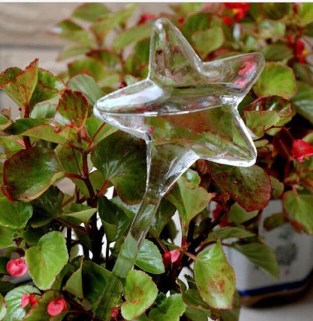 Kalsten | Self-Watering Plant Bulb
