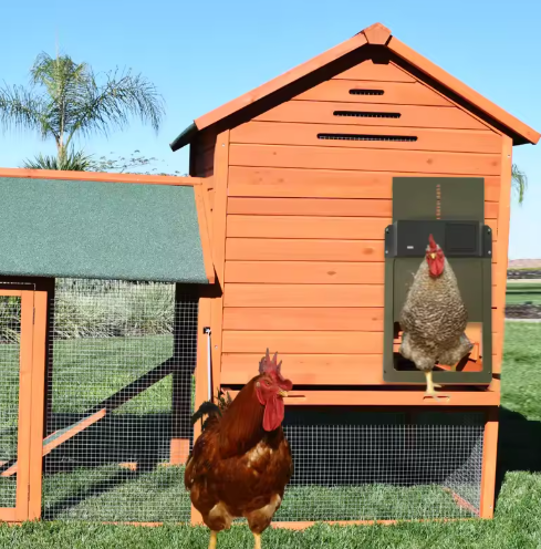 Kalsten | Automatic Chicken Coop Door Opener with Timer and Light Sensor